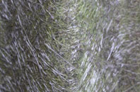 Pinchbeck fibreglass roof work